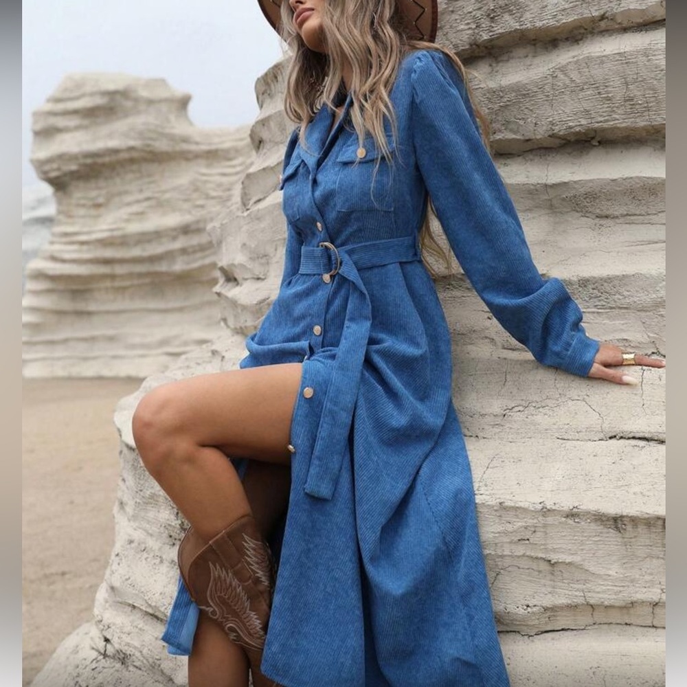 Elegant Blue Belted Button Down Corduroy Dress - Picture 8 of 8